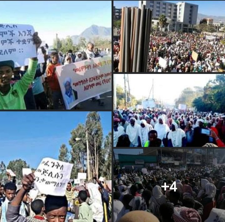 ኮምቦልቻ ህዝበ ሙስሊሙ ተቃውሞ ሰልፍ በማድረግ ላይ ነው !

#"መፈንቅለ መጅሊስን እንቃወማለን"
#"መጅሊስ የሙስሊም እንጅ የውሃብያ ተቋም አይደለም"
#"ኃይማኖት በገንዘብ አይቀየርም"
#"መሪያችን ሃጅ ኡመር ኢድሪስ ናቸው"