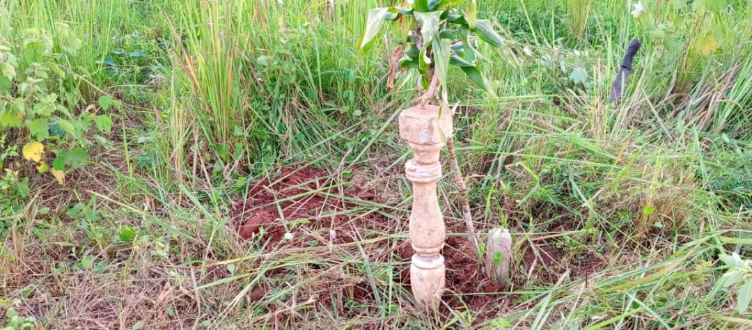 shukranproperty's tweet photo. #2plots 50/100ft with #Readytitle on sale
Located matugga kiwebwa manze near Minster #sozi 3.5km from kiwebwa town
PRICE👉#7M per plot (11decimals)
❤NB IF U PAY U 🏃Go With ur title:
Serious buyers call or wtsup👉0706592177 https://t.co/eM7sR9cl5x