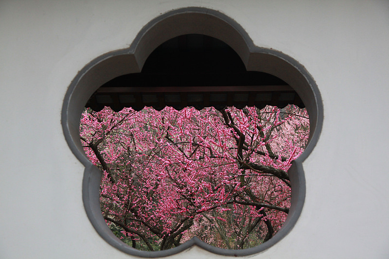 CGTN on Twitter "Rain Water, one of the 24 solar terms meaning the