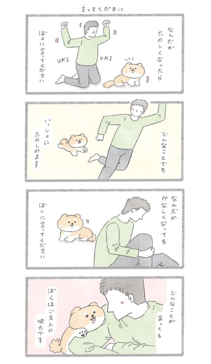 言ってください
#こんにちはいぬです 