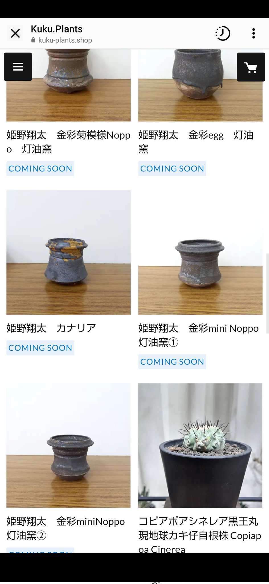 作家鉢】姫野翔太 銀彩 大鉢 検)カタチ製作所 金彩 陶器鉢 作家鉢】姫野翔太 銀彩 大鉢 検)カタチ製作所 金彩 陶器鉢