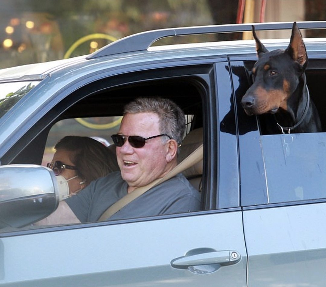 @theFOALGroup anther celeb ...William Shatner.....with his 🏆 dogs. #FlopNotCrop