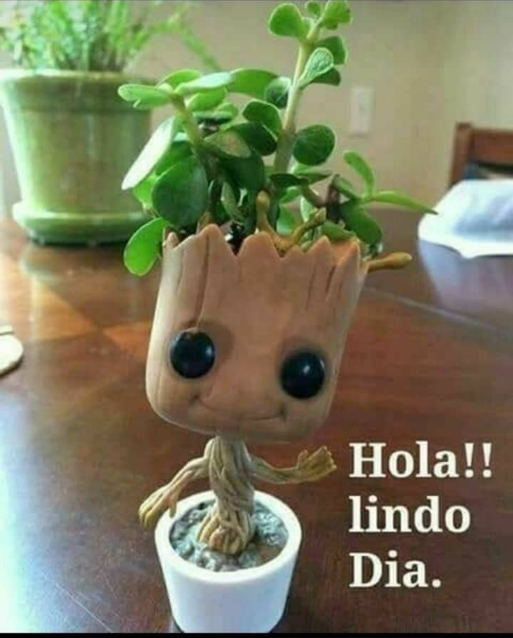 npalmi07's tweet photo. @Guaritoto Buenos días estimado amigo ☕🌞🍀 https://t.co/3pWUZe6qkS