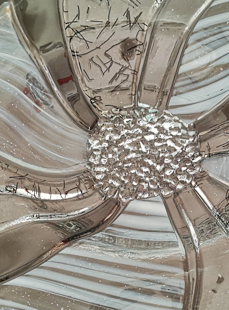 Starfish Glass tweet media