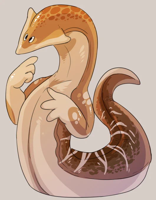 A boy! 