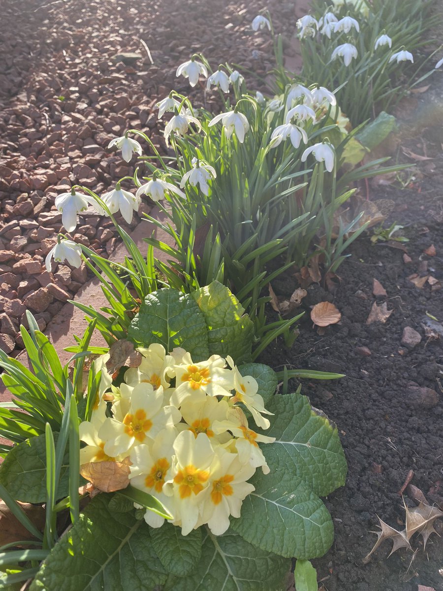 Jan Purves tweet media