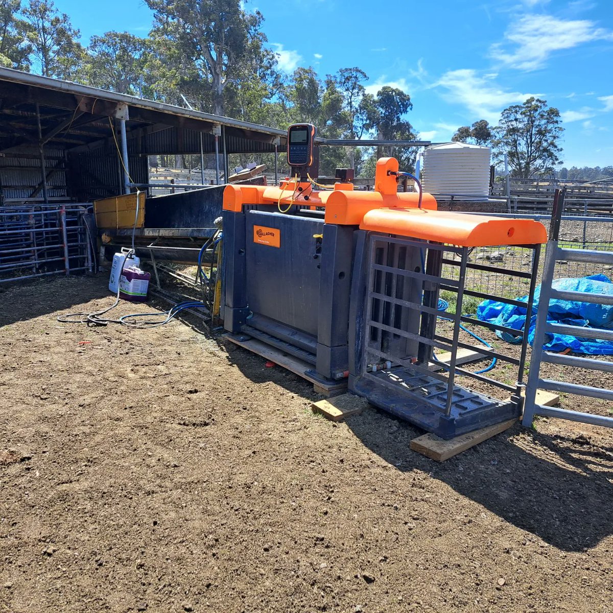 AdvisoryBlyth's tweet photo. I left New Zealand at the end of last week, now having a few days catching up with a couple of Nuffield scholars in Tasmania. They've taken me on a few farm visits which have been really interesting. Now off to Australia for more meetings and visits. #nuffield2021 #sheepTec https://t.co/3wvQQgUjxk