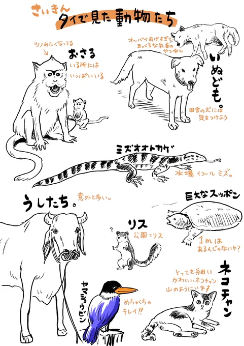 なんとなくタイで見た動物を落書き 