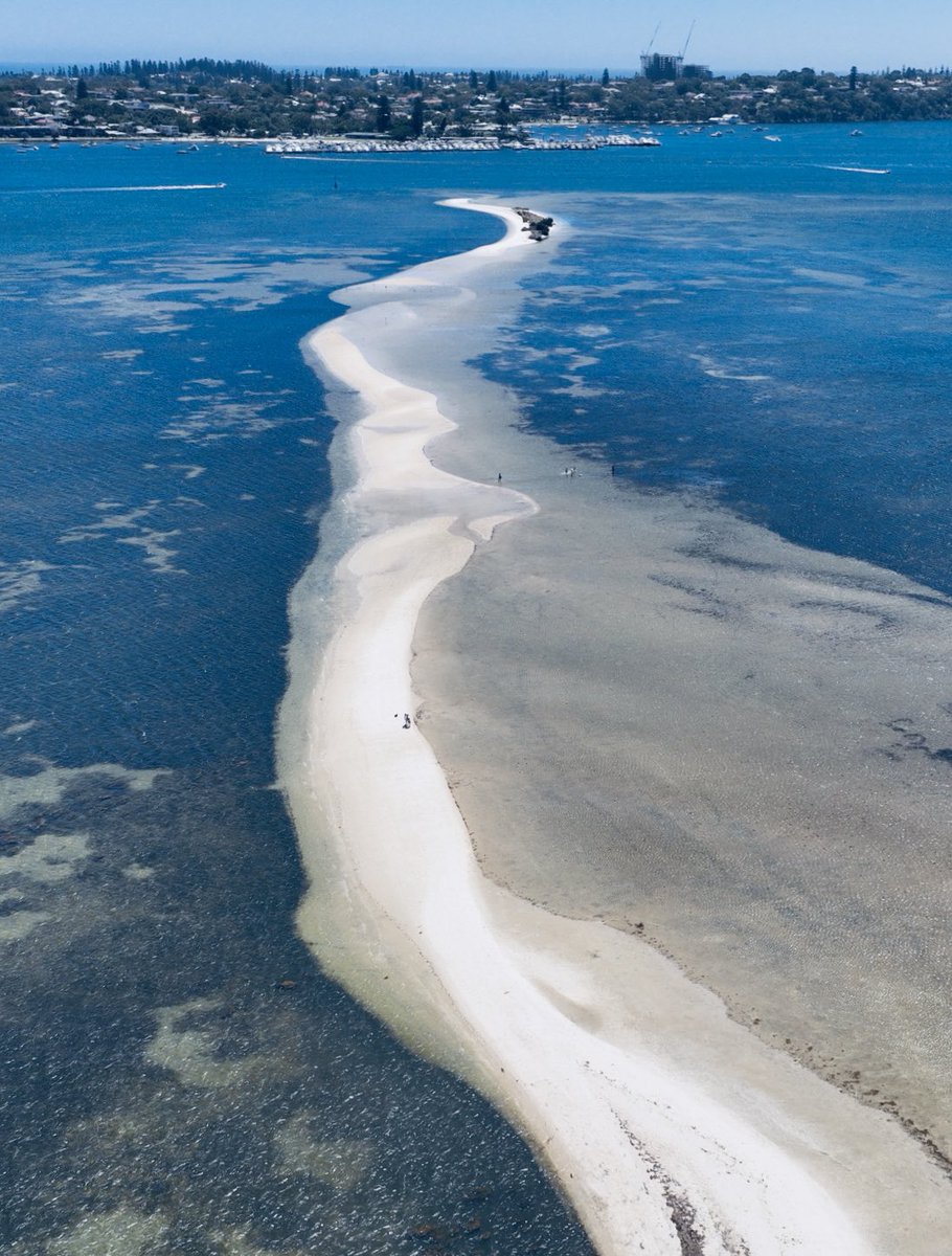 Point Walter Sandbar….
#Bicton #Perth #WesternAustralia #drone #WATheDreamState #Reserve #weekendvibes