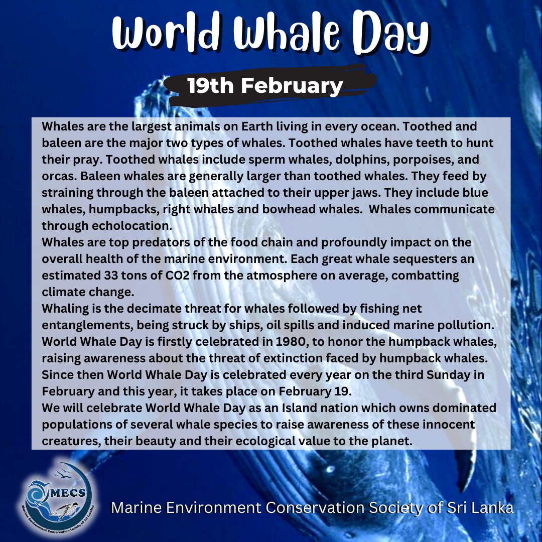 World Whale Day🐋🐳

#WorldWhaleDay #ocean #MECS #SriLanka