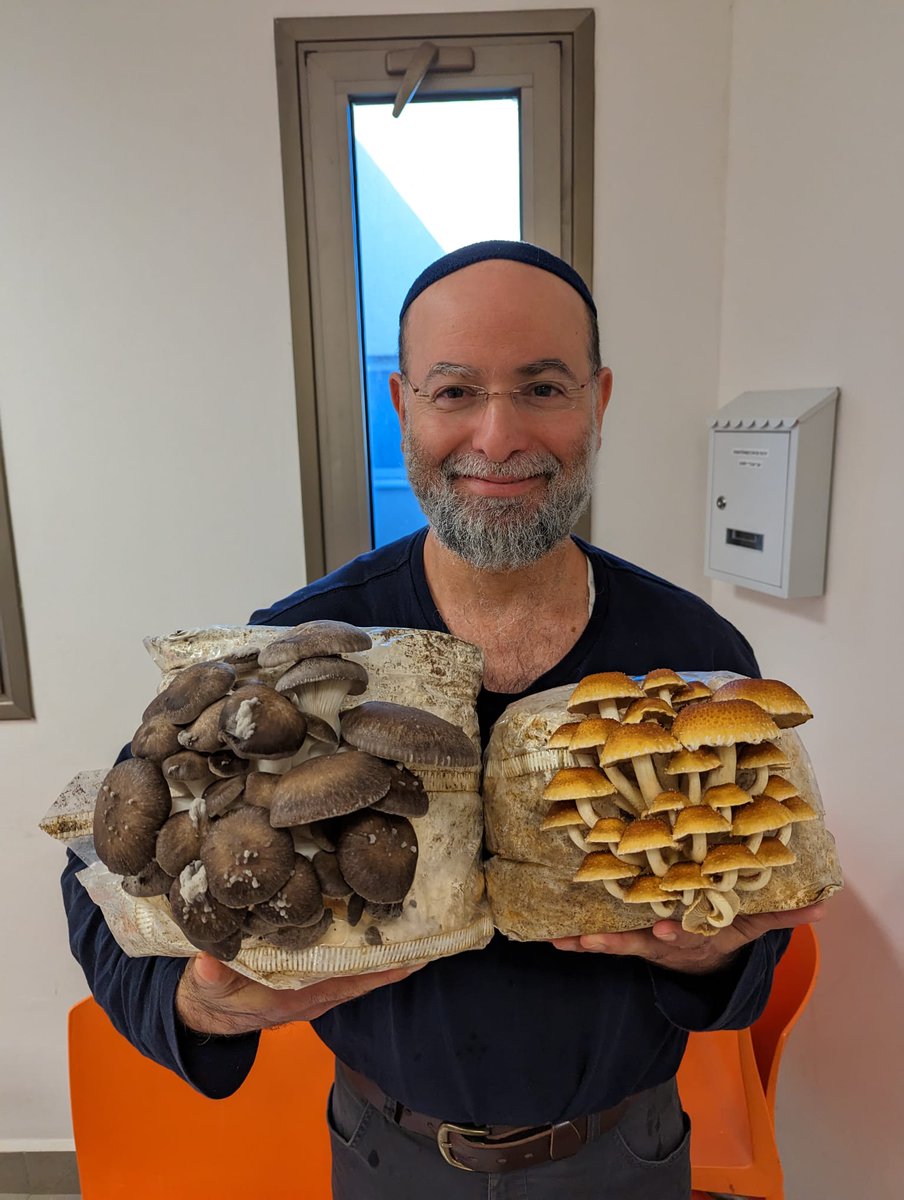 Our scientific director showing off some of the amazing mushrooms grown by one of our research assistants, Asaf Rozenberg. #ChestnutMushrooms on the right and #BlackPearlMushrooms on the left.
 #mycology #FungiFarming