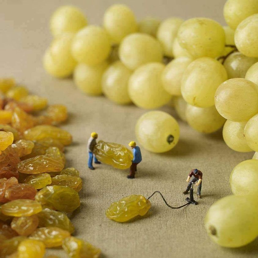 Comment sécher les raisins ?