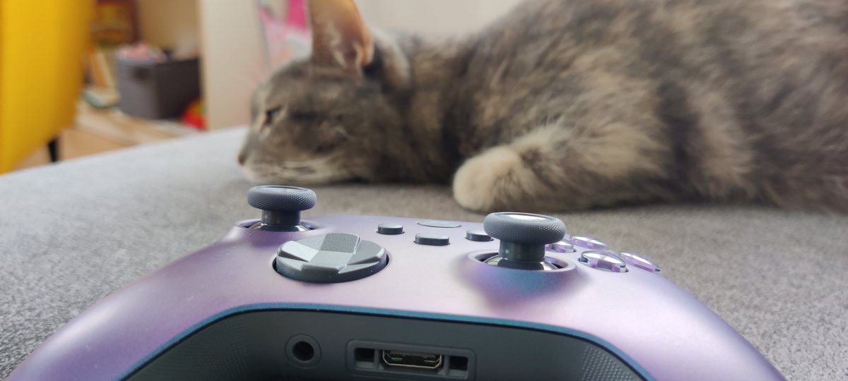 dfonyesz's tweet photo. Meg kell állapítsam, hogy ez a kontroller nagyon szép, még a macskám is kidőlt tőle.
#XboxOne #kontroller #StellarShift #specialedition #controller #macska #többcicátatwitterre https://t.co/dnImd31rjg