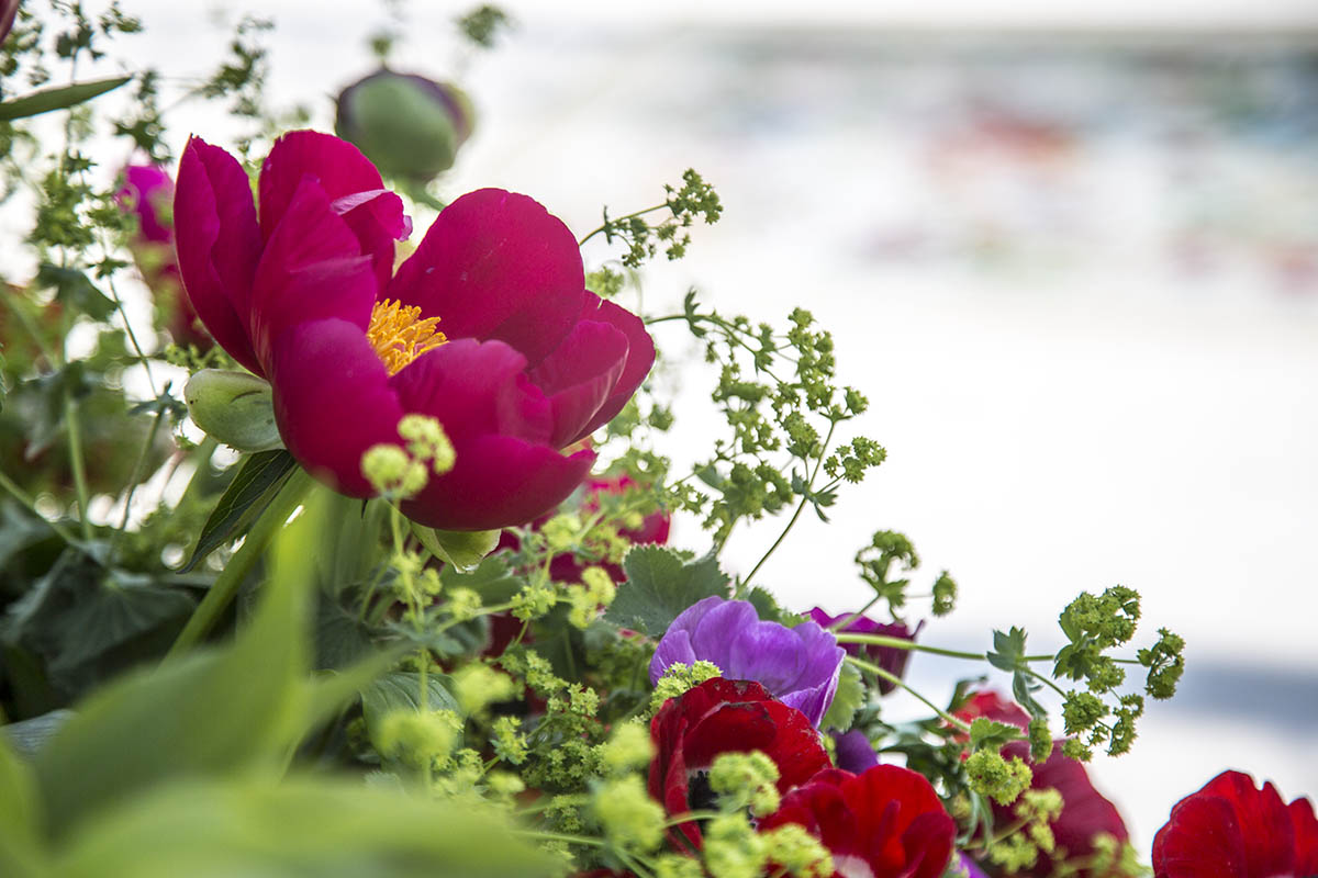 Happy Sunday! 
Have a wonderful day everyone! Sending some good vibes to all of you ❤️💐💜

#flowerpower #naturelovers #beautifulgardens #GardeningTwitter #gardenideas