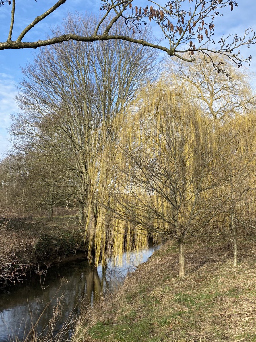 HellingtonBoots's tweet photo. 7 miles in… Coffee and snack time in my own personal park. 😉🥾☕️
#BeKinder #Longfields #Darton #BarnsleyIsBrill #LegsAndLaces https://t.co/z4ysJXA4bU