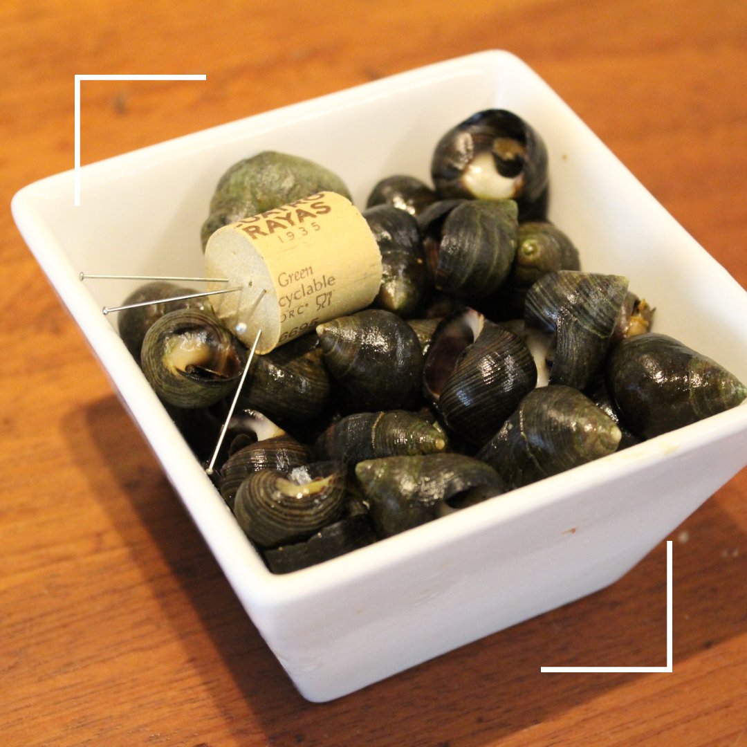 Preparados para el mejor de los vermús en El Trébol ☘️