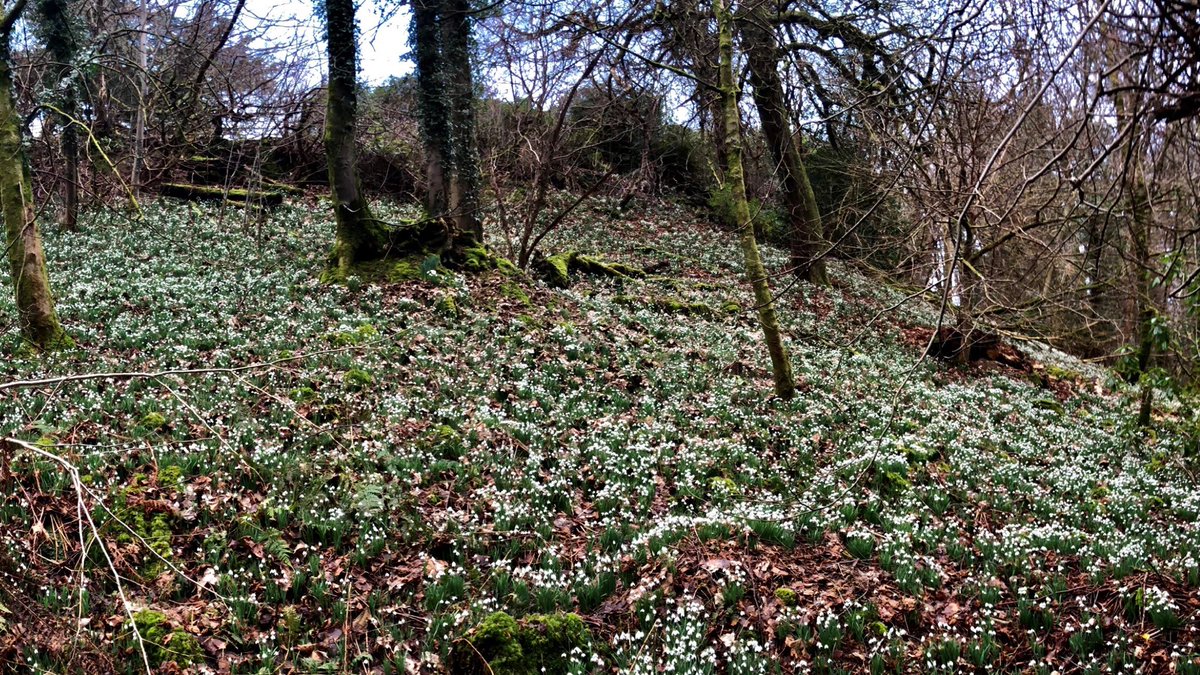 Finlaystone Country Estate tweet media