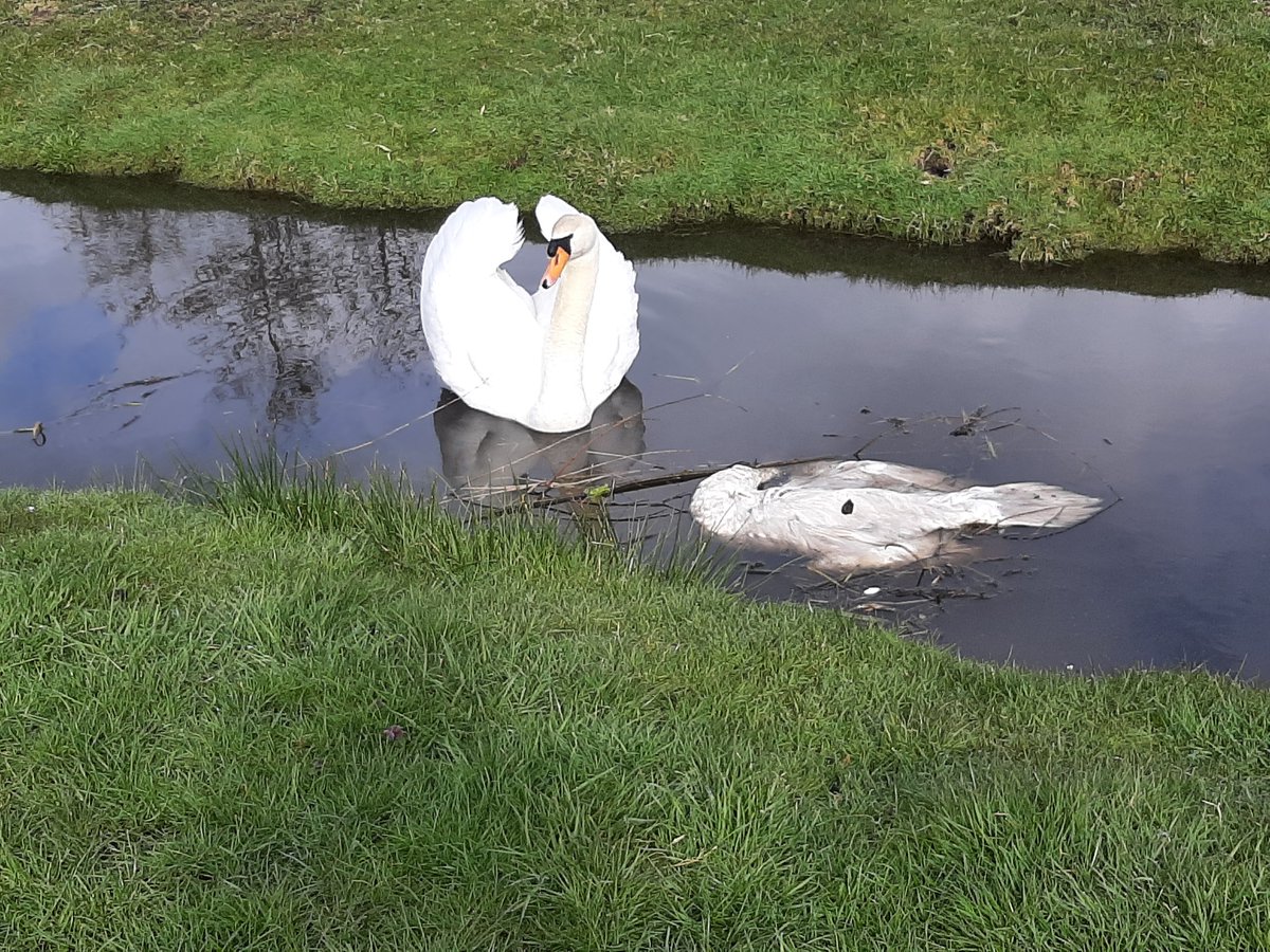 Anita van Leyden tweet media