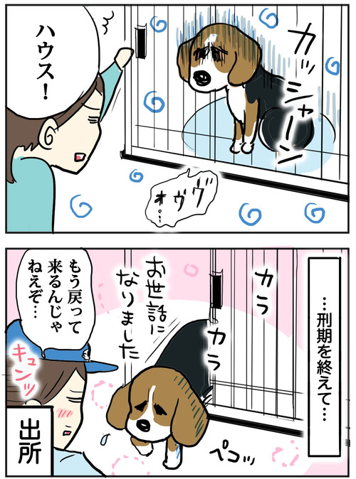 逮捕だ!逮捕!!!🐶

#ビーグル 