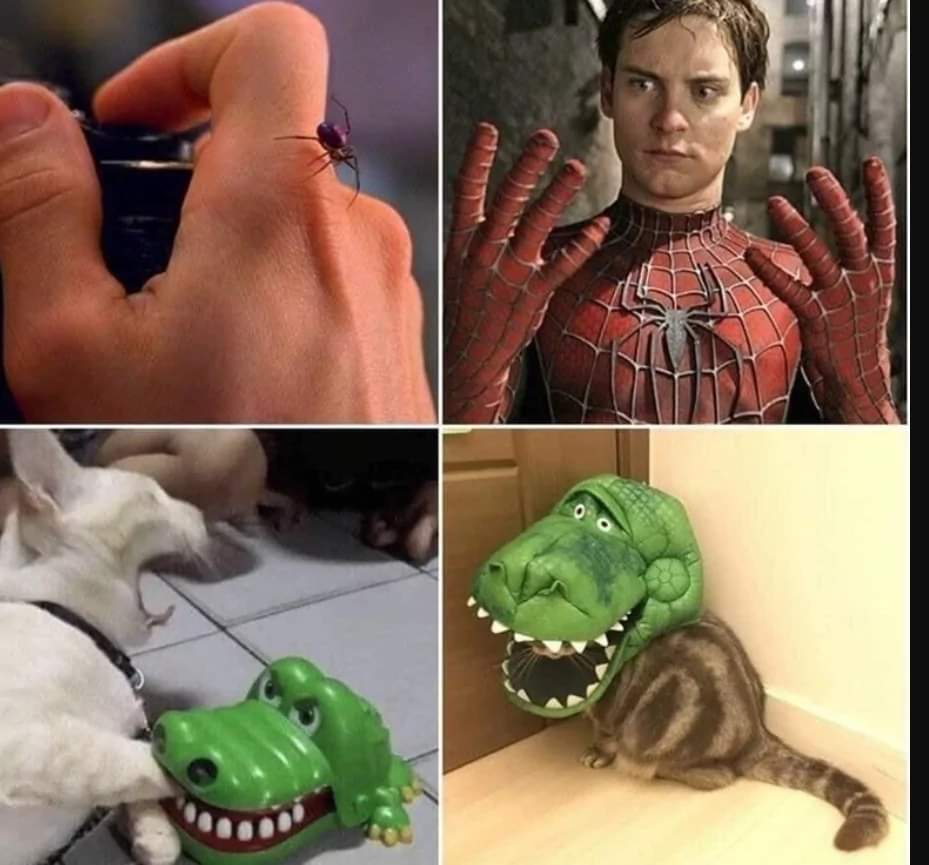 comiczooka's tweet image. 