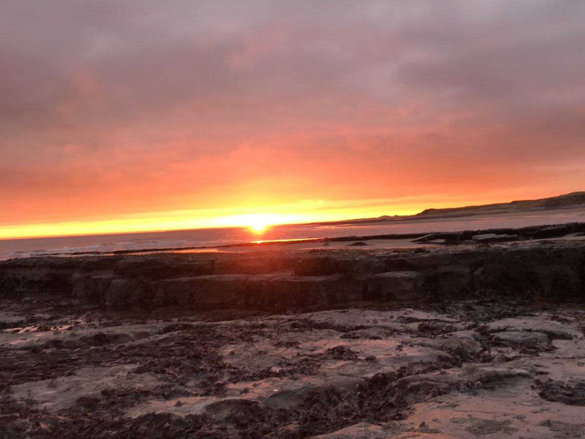 VisitNland's tweet photo. Stunning pics taken at @LaverockLaw, amazing sustainable self-catering cottages in #Northumberland.
Find out more https://t.co/VJHhXWPgHW
#visitnorthumberland #endlessexperiences #northumberland https://t.co/U4QtO7Gpxw