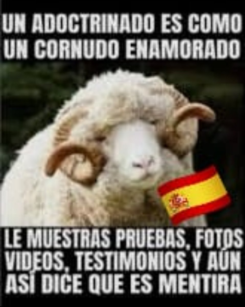 tes_emersan's tweet photo. @xantilo1 @JLambanM @GobAragon Así nos vá! https://t.co/McurcLwtSM