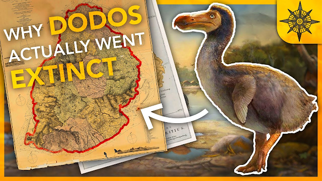 Unveiling the Mystery: The Real Reason for the Extinction of DODO
bit.ly/3lLMTWW
Discover the real reason behind the extinction of the Dodo bird and the lessons we can learn from this tragic event.
#dodobird #extinction #wildlifeconservation #habitatdestruction #over