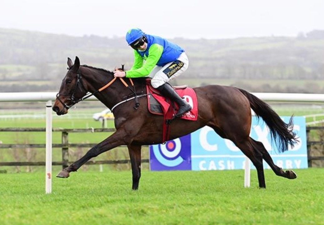 Stephen R Power (@racingblogger) on Twitter photo 💷 If HARMONYA MAKER wins the Apples Jade Hurdle at Punchestown today I'll give £50 CASH to one of you Lucky People!! 🥇 🇮🇪
To Enter: 👇
1️⃣ RT this Tweet
2️⃣ Follow <a href="/racingblogger/">Stephen R Power</a>
🚨 instagram.com/racingblogger
#Cheltenhamfestival #Sunday #Win 💷 If HARMONYA MAKER wins the Apples Jade Hurdle at Punchestown today I'll give £50 CASH to one of you Lucky People!! 🥇 🇮🇪
To Enter: 👇
1️⃣ RT this Tweet
2️⃣ Follow <a href="/racingblogger/">Stephen R Power</a>
🚨 instagram.com/racingblogger
#Cheltenhamfestival #Sunday #Win