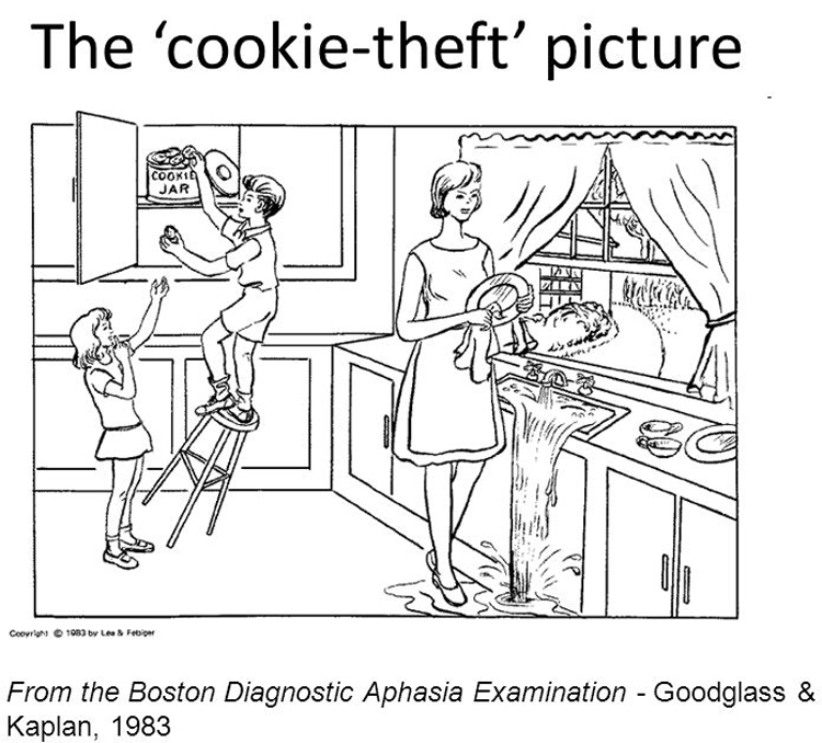 dronita_de's tweet photo. Connected Speech and Language in Mild Cognitive Impairment and Alzheimer’s Disease: A Review of Picture Description Tasks
https://t.co/nCAiuVIcgg
@atanas #Scicomm2 #DHPSP @_MCRicardo_ @HealthyFellow https://t.co/DWIAlNIuon