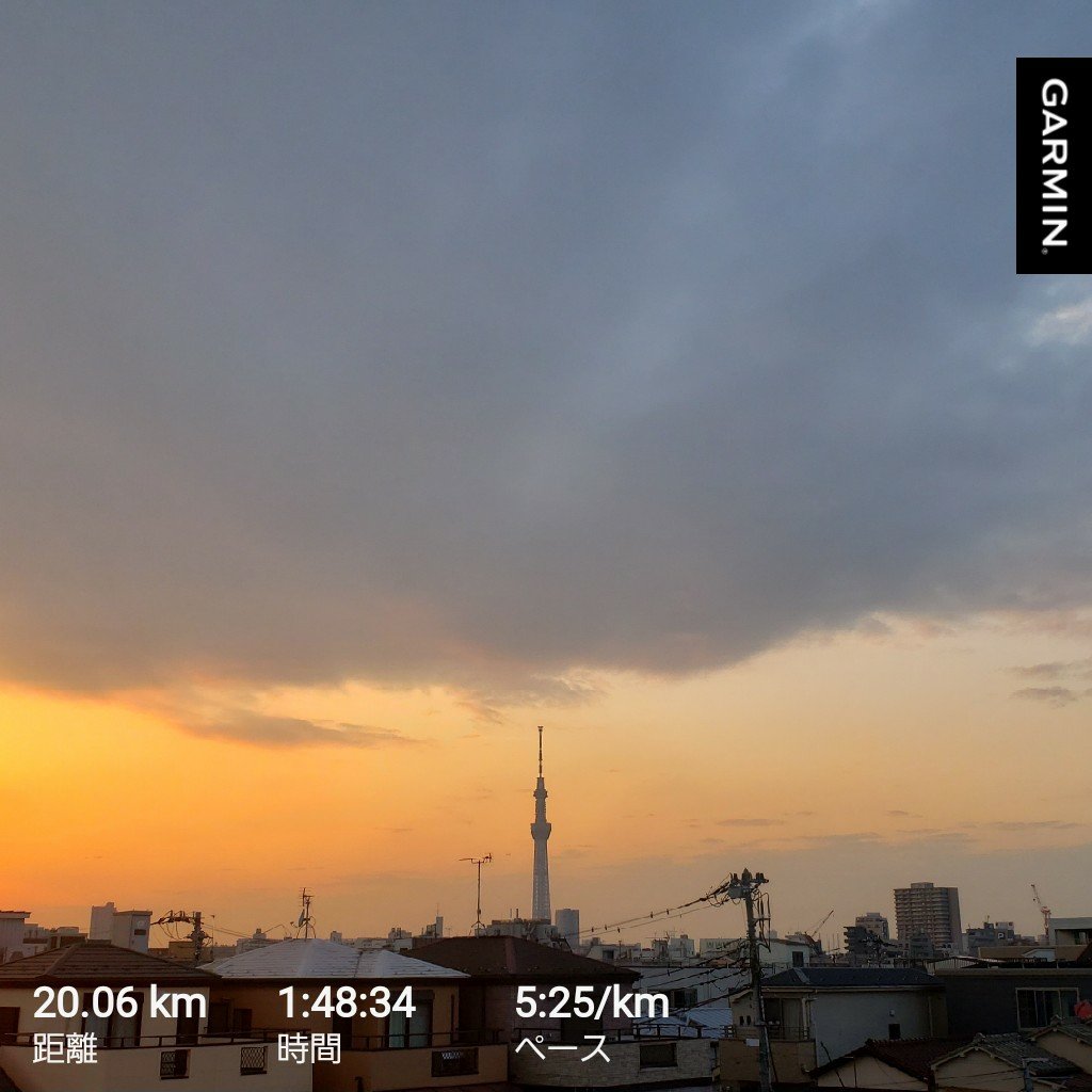 今週は
木曜5.3k
土曜20k
日曜ウォーク5.7k
昨日レース前最後のロングということで20k走りましたが体調かなり今一つで、もう目一杯でした😵💦おまけに右足太もも裏に少し痛みが出たので今日はウォークでのんびりと。あと２週間なのであとは体休めながら万全にしようかと思います✨