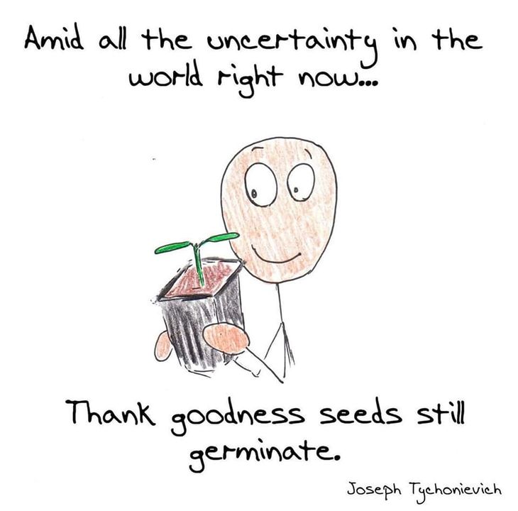 Good Food Project tweet media