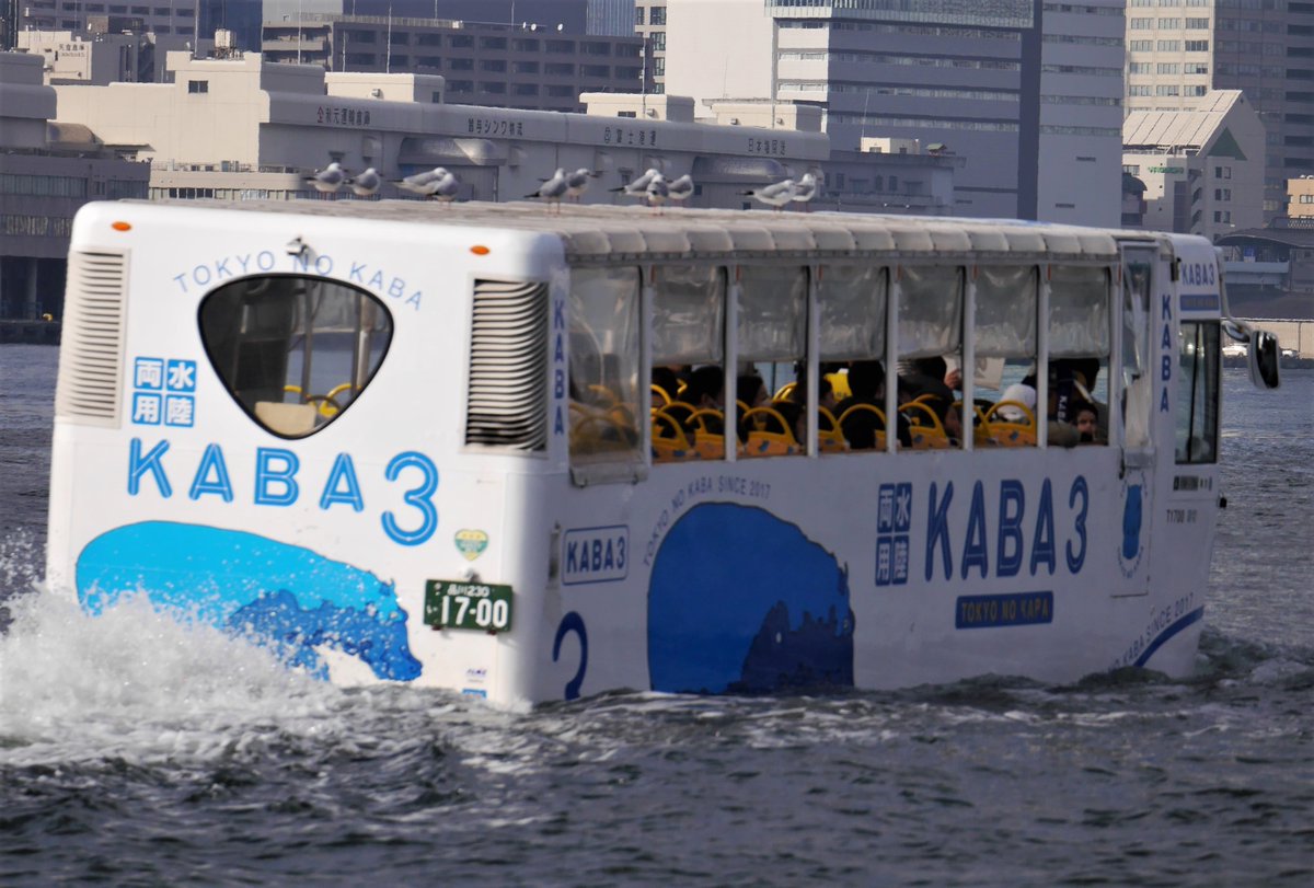 riverboatmizuha's tweet photo. 水陸両用バス 
@tokyo_kaba
 #KABA3 の屋根に乗っかってラクしてる、ゆりかもめちゃん達。ラブリーですね。 https://t.co/BZQJWma54S