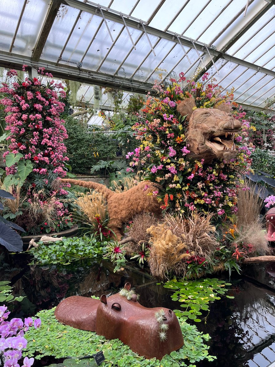 papaver's tweet photo. New on the blog https://t.co/N2upG2gHZn (tap link) a long overdue 1st visit to @kewgardens to enjoy the Orchid Festival #gardenblog #orchids #dayout #temperateplants #blog https://t.co/5tJEWC78pk