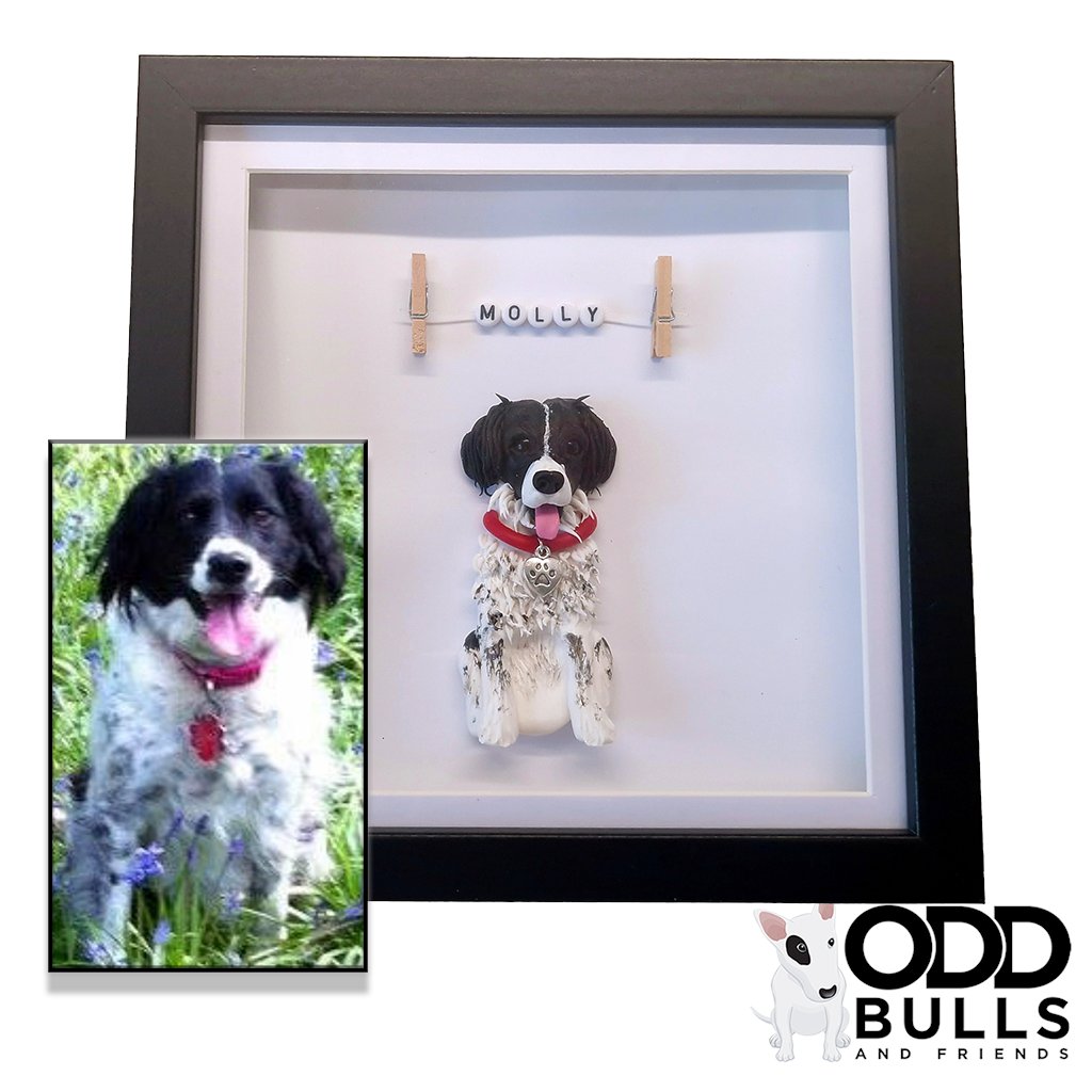 OddBulls's tweet image. 🐾❤️ Keep your furry friend close with a custom memory frame from oddbulls.co.uk! Each figurine is handcrafted based on your photo and captures your pet's unique features and personality. Thanks for sharing your beloved companion with us! #MemoryFrames #Dogs