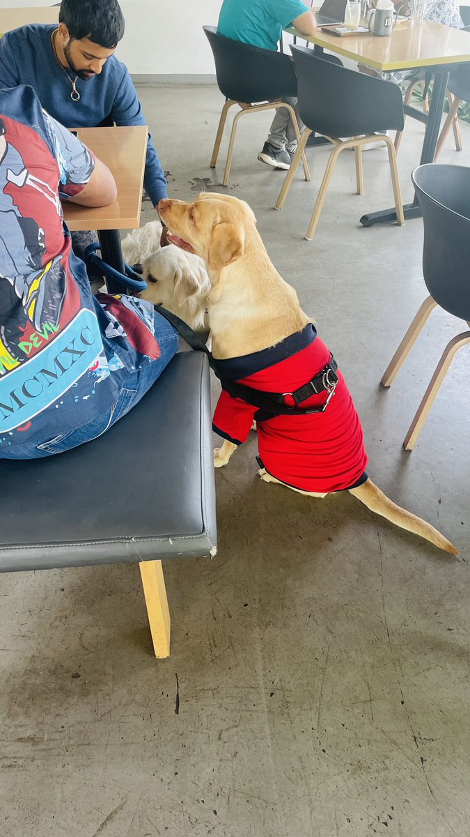 zeishahamlani's tweet photo. Perffff Sunday with the good boys and girls at #MaverickAndFarmer & topped it off with an outing at #Champaca 🥺💙 https://t.co/3Zu8bODUZo