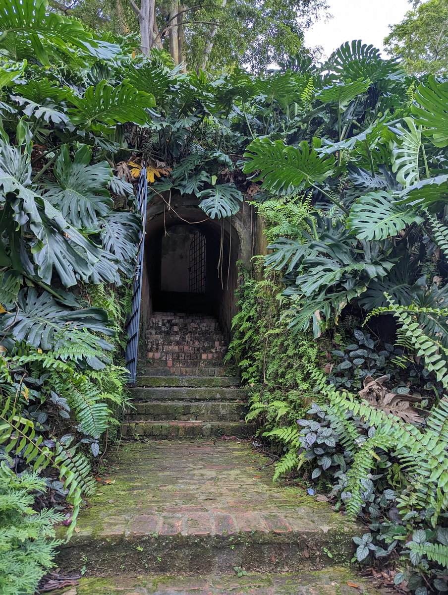 ZinvolReizen's tweet photo. Fort Canning Park
Ook een leuk park om even door te wandelen. Was er erg druk vandaag ..zondag!
#singapore #fortcanning #wandelen https://t.co/CdgE8T85EY