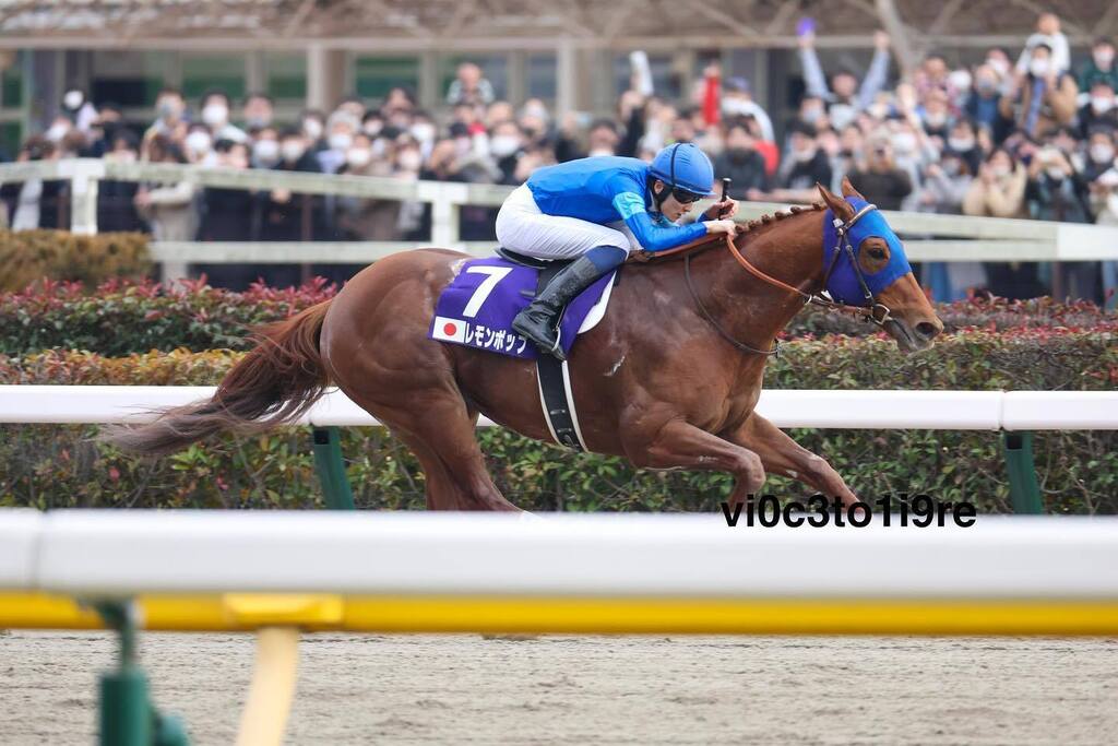 2023フェブラリーステークス

勝ち馬:レモンポップ
ジョッキー:坂井瑠星

#フェブラリーステークス
#フェブラリーS
#レモンポップ
#坂井瑠星
#lemonpop
#ryuseisakai