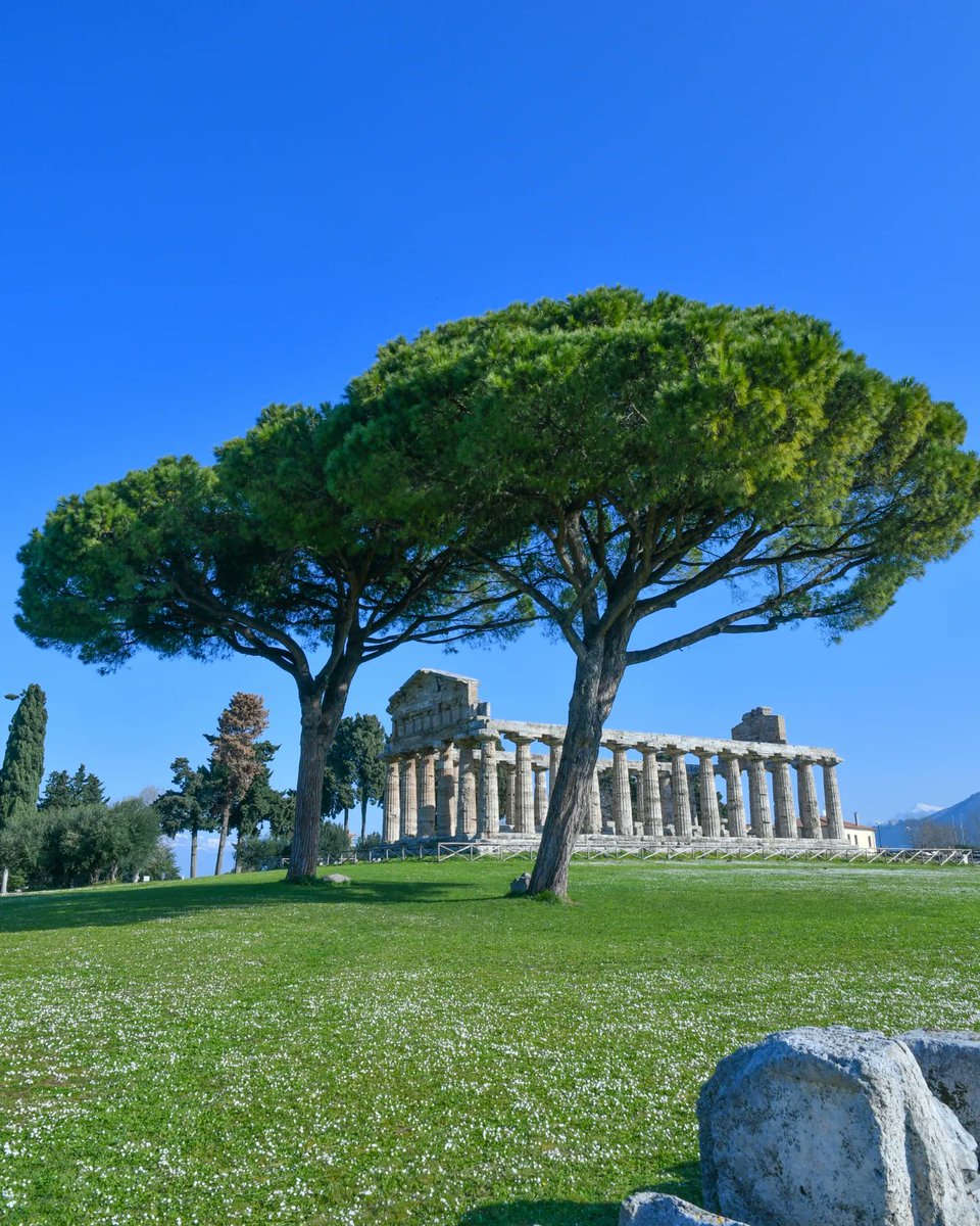 borgoreporter's tweet photo. Musei aperti ogni prima domenica del mese #musei #arte #cultura #Campania #Paestum #Italy https://t.co/ZaPecA5EaO