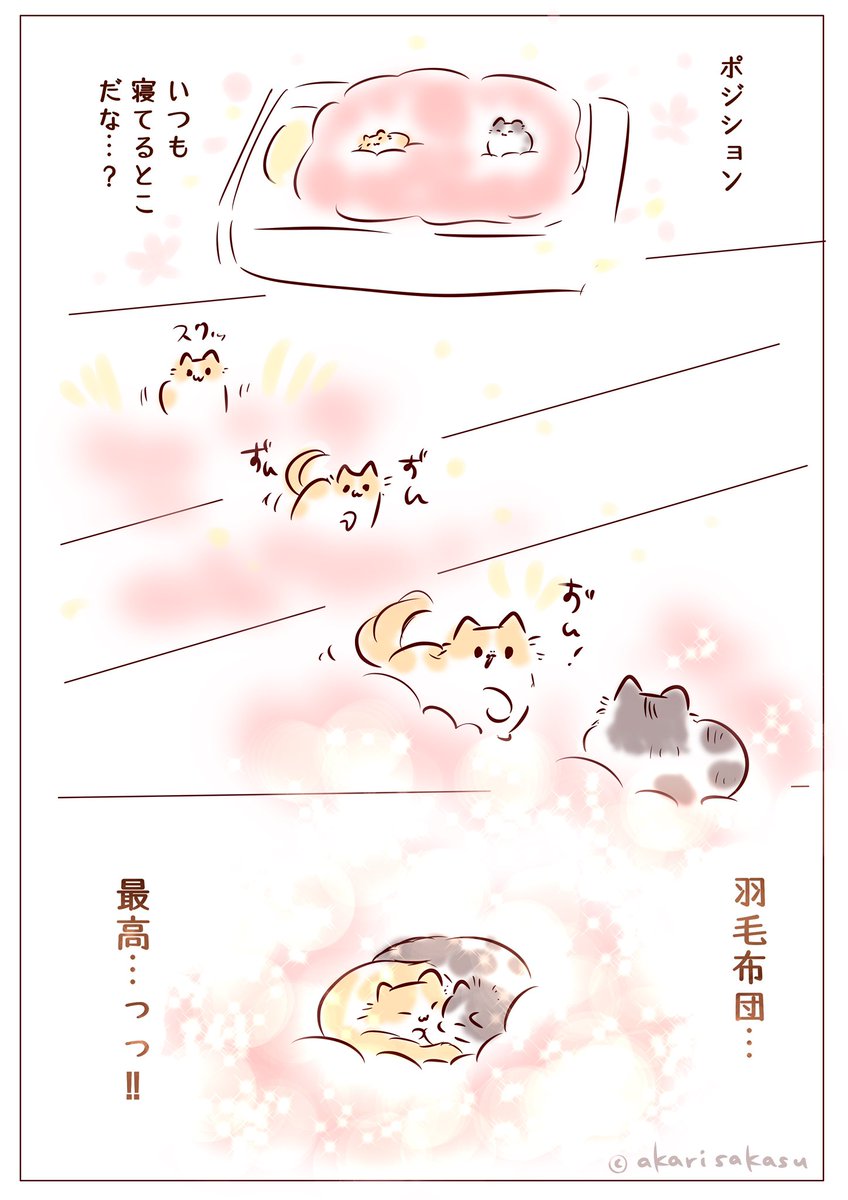 (続きです)ドキドキの羽毛布団デビュー🐈🐈

#note https://t.co/c1sOgxcLo1

#猫のいる幸せ https://t.co/fveOj1clha 