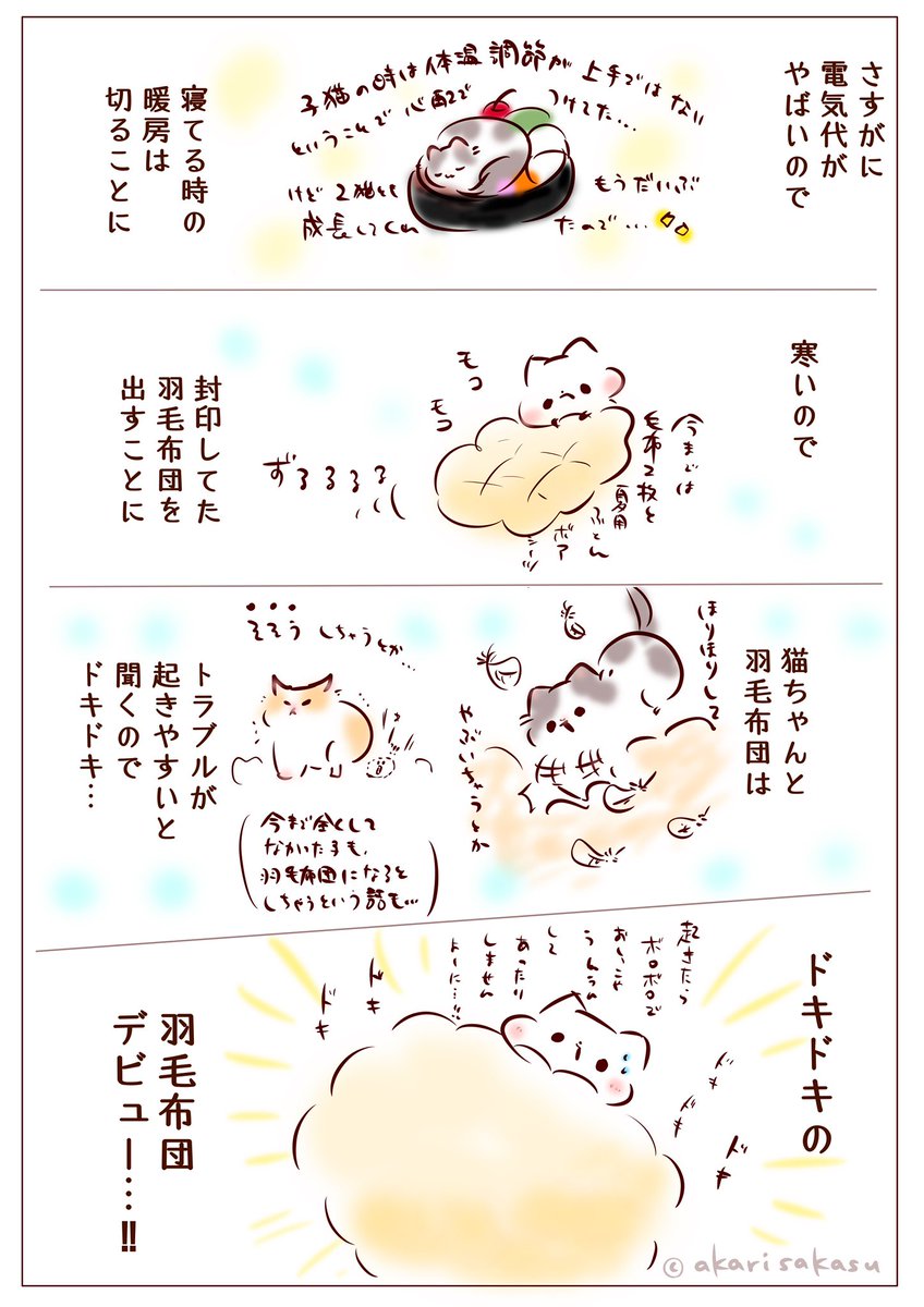 (続きです)ドキドキの羽毛布団デビュー🐈🐈

#note https://t.co/c1sOgxcLo1

#猫のいる幸せ https://t.co/fveOj1clha 