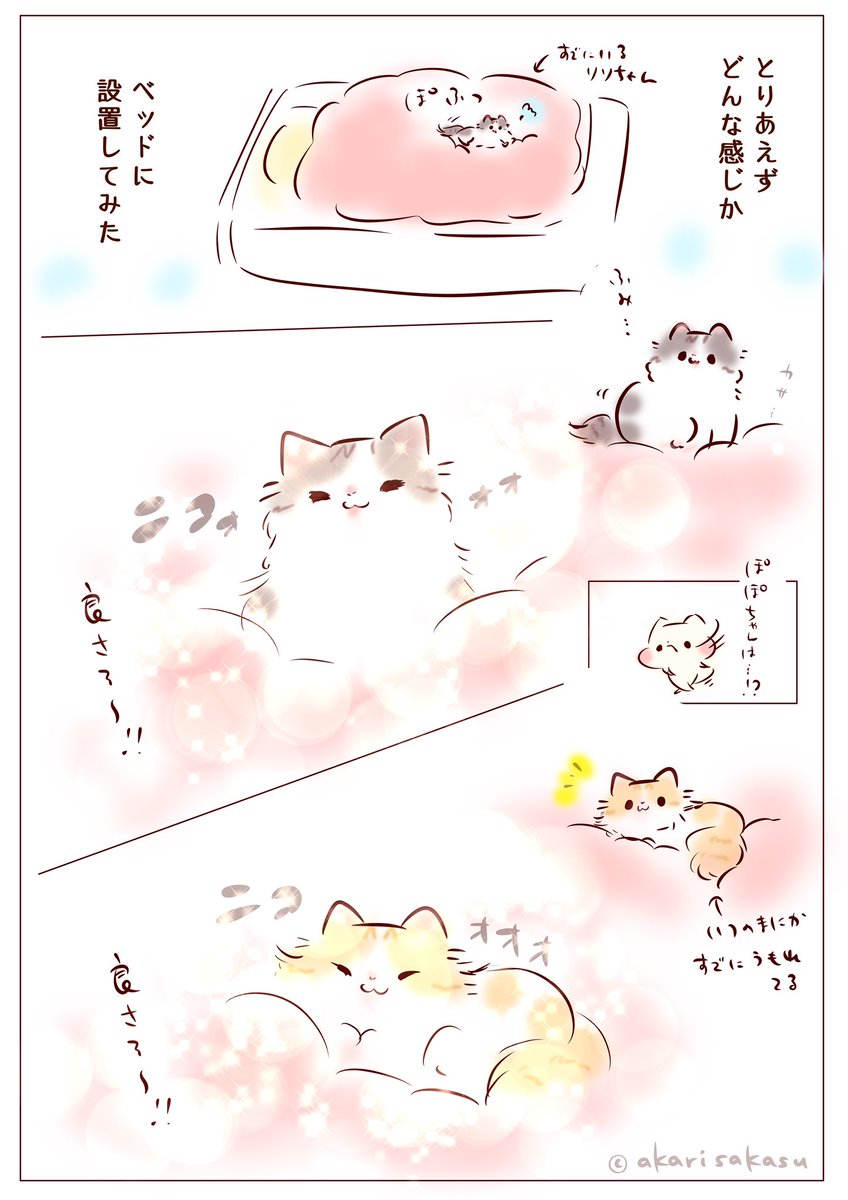 (続きです)ドキドキの羽毛布団デビュー🐈🐈

#note https://t.co/c1sOgxcLo1

#猫のいる幸せ https://t.co/fveOj1clha 