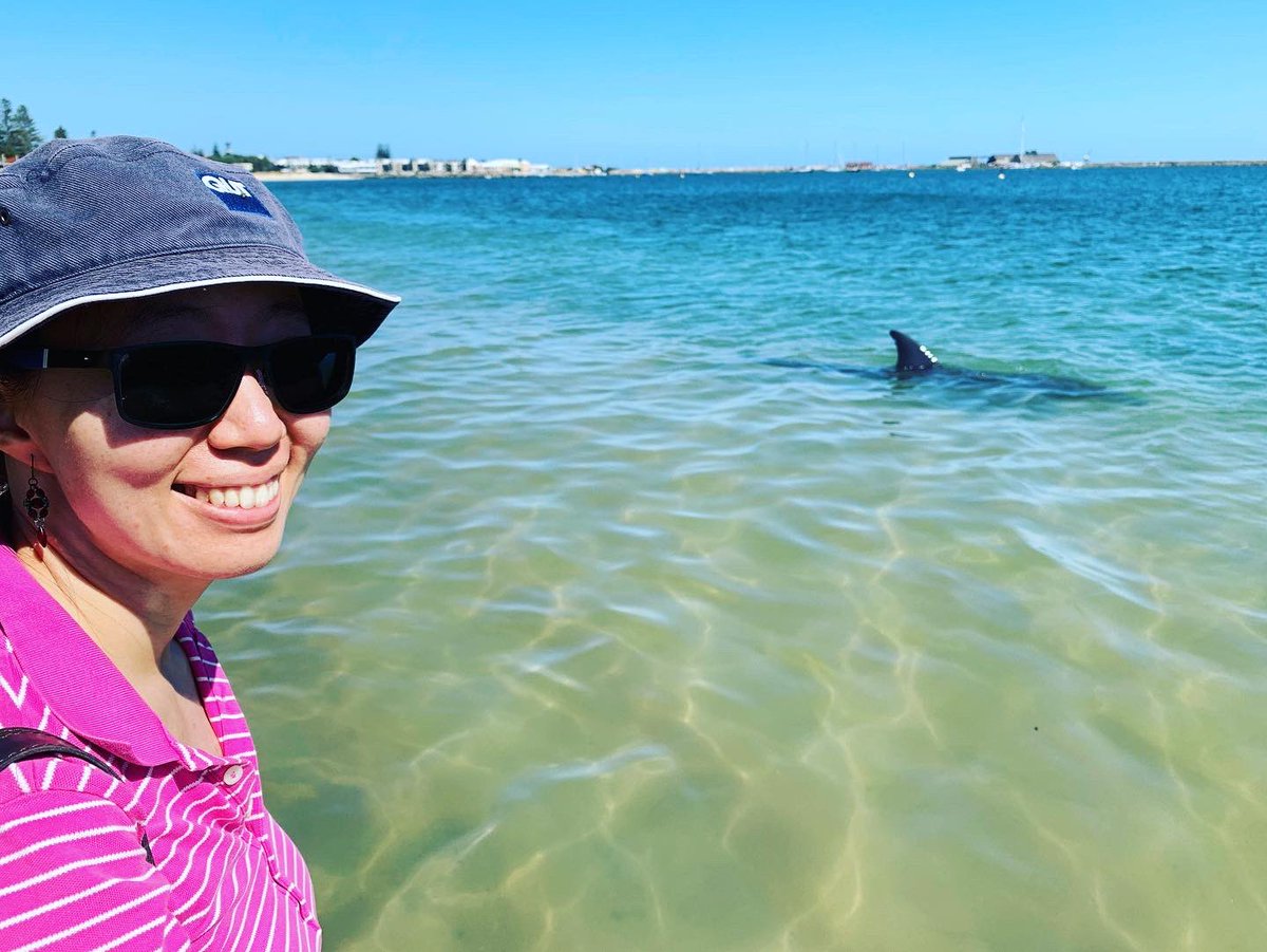 The locals popped by to say hi at the #bunbury #dolphin experience 🐬😍 #dolphinexperience #dolphindiscovery #wanderoutyonder #thisiswa #westernaustralia