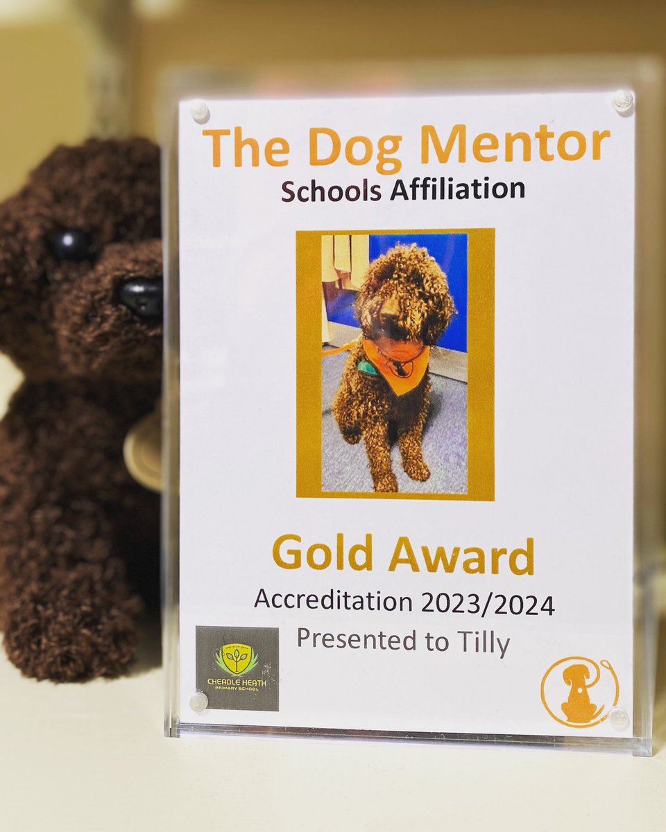 tales_tilly's tweet photo. Look at lil ole me! I’m an award winning #schooldog. Thanks @TheDogMentorUK! #furryfriend #schooldoodle #tillytime https://t.co/ZljFoLiPWA