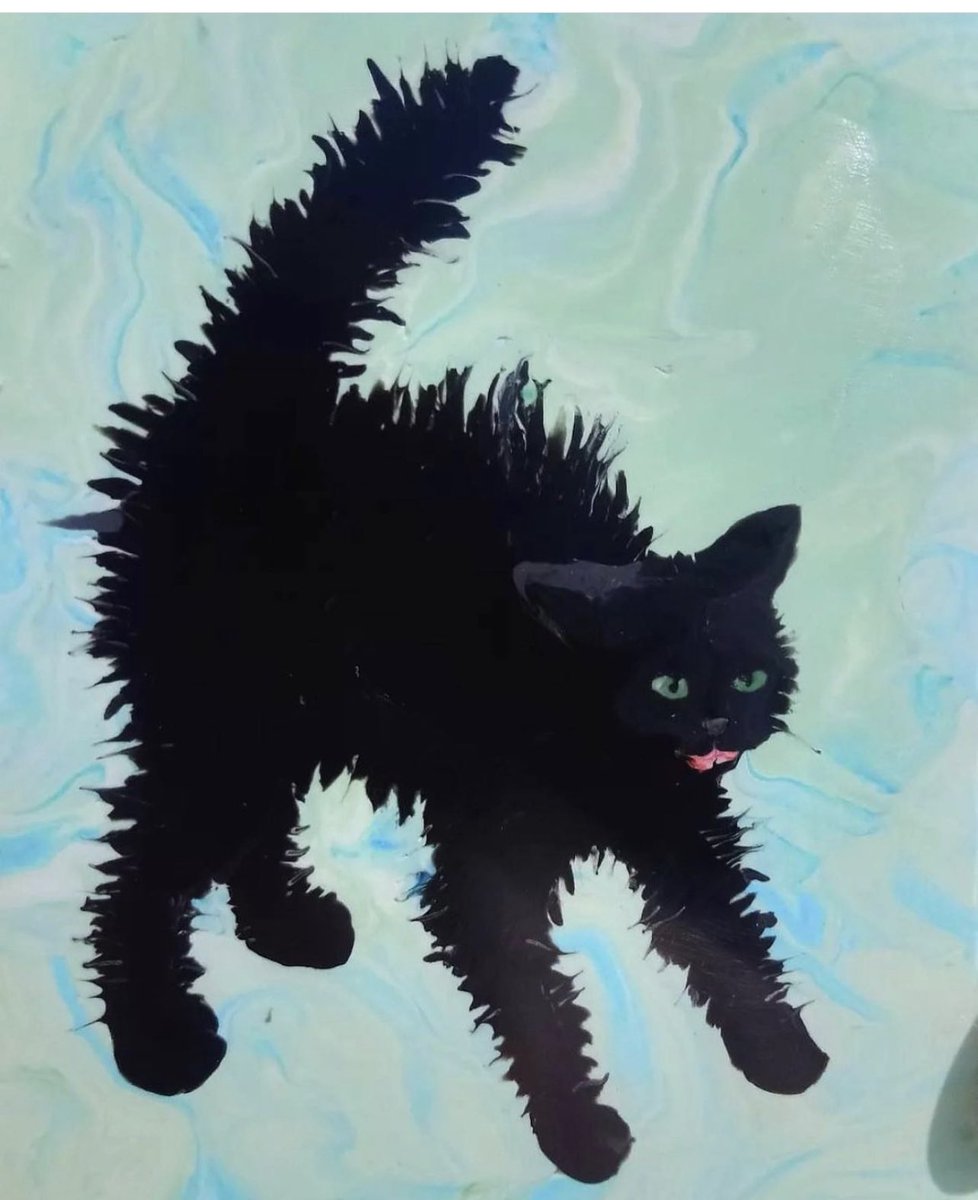 pparthenope's tweet photo. kitten inspo https://t.co/hrJW5s6z0A