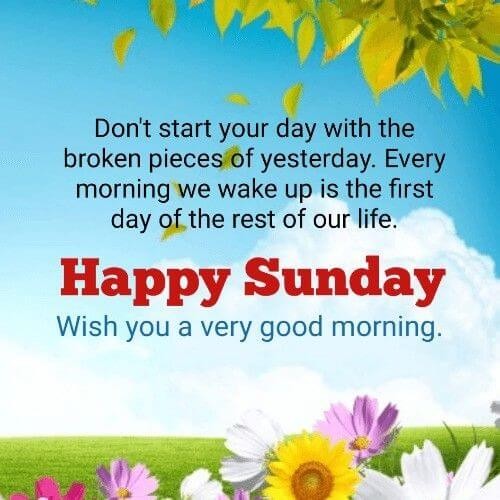 Jean24043360's tweet image. Happy Sunday all Hope all is well 
With you, if not cast that Aside.
 Be #Calm #Contented. #Peaceful.
Be in Tune with #Nature's #Love.
Dance 💃 to the #Rhythm of #Life
Be #Grateful  #JoyTrain 🌸🙏❤☕️