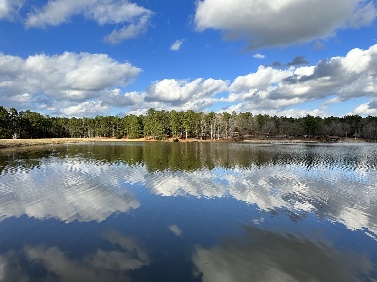 DocKevinElder's tweet photo. @admired_art Here is my favorite reflection from our new Happy Place, our park that is almost in our backyard! We walk there almost every day with the #BassetBoyz! #Reflection #WeekendChallenge #ReflectionChallenge #TheWeekend https://t.co/S0KJA7gsn8
