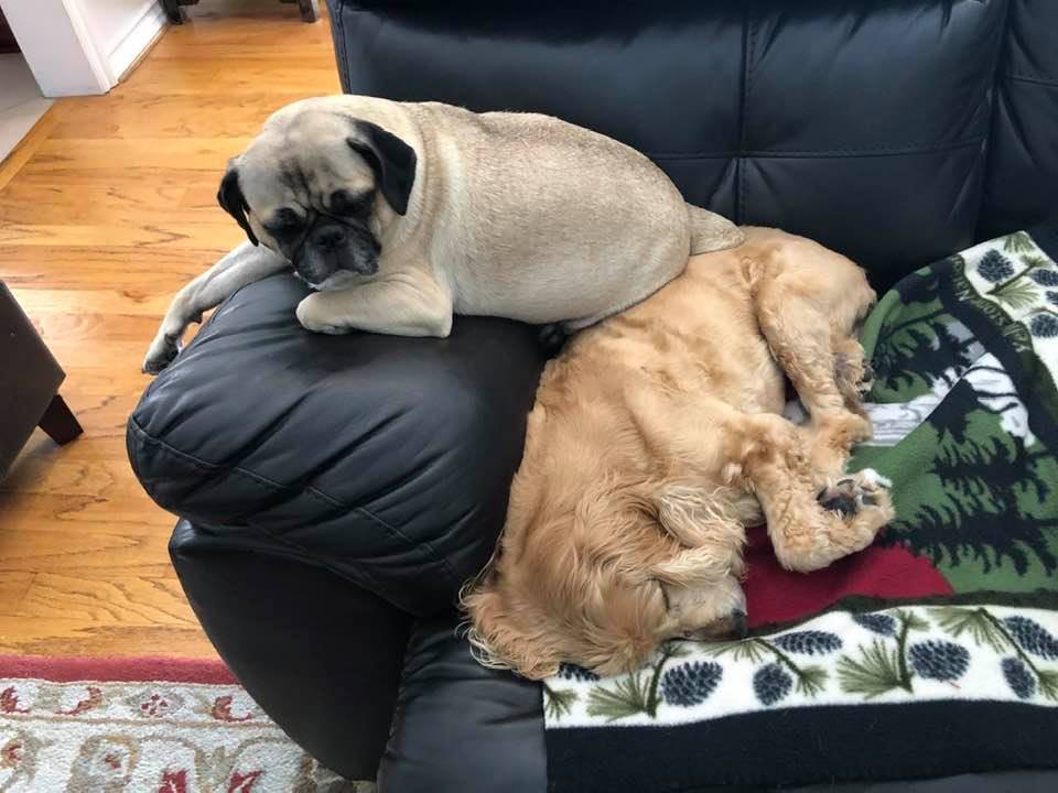 Jack Pitney tweet media