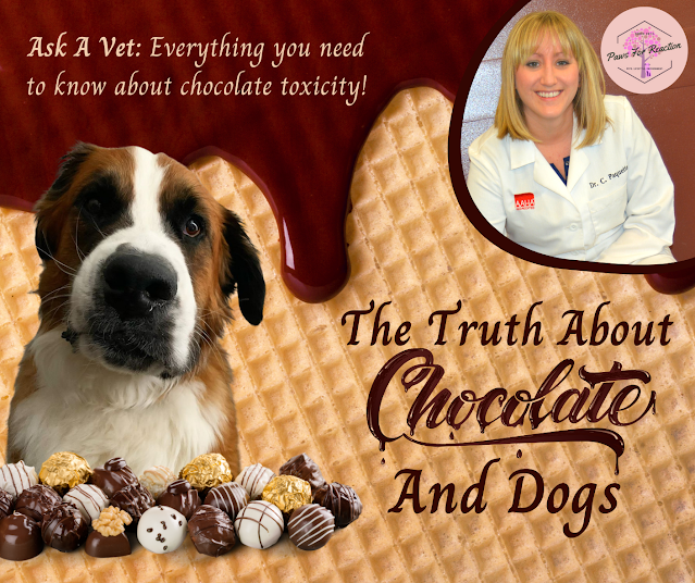 PawsForReaction's tweet photo. Ask a vet: Why is chocolate poisonous to dogs? What do I do if my dog eats chocolate?
https://t.co/Iof3G4qKHs

 #dogsoftwitter #vetmed #askavet #chocolate https://t.co/1EXWG2CiVy