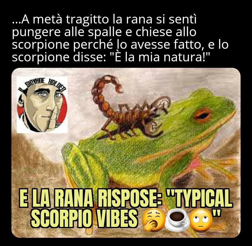GiovaneHoldenC's tweet photo. La rana era Cancer ascendente Gemini 😞

#ilgiovaneholden #thecatcherintherye #holden #meme #italianmeme #lol #l4l #f4f #divertimento #memes😂 #dankmeme  #picoftheday #dank #dankmemes #tagforlikes #tags #italiangirl #instameme #memeita #memes #memesdaily https://t.co/Td8k9HRQhH