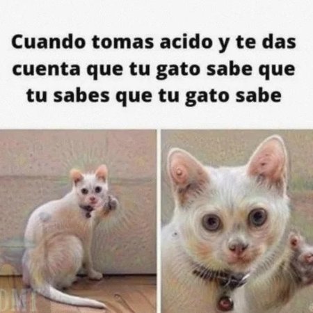 ElAcidulce's tweet photo. Si lo saben https://t.co/DjnP9xVoJA